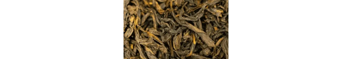 Oolong