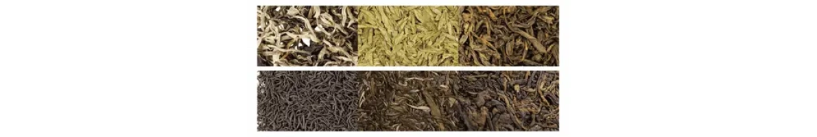 Tea