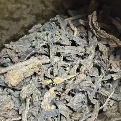 Aged Collectible Sheng Puerh (Menghai)