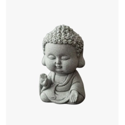 "Younghood is fearless" Young Tathagata Tea Spirit
