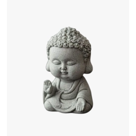"Younghood is fearless" Young Tathagata Tea Spirit