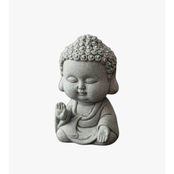 "Younghood is fearless" Young Tathagata Tea Spirit