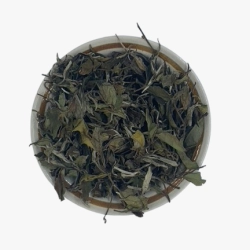 Bai Mu Dan Qing Xian White Peony