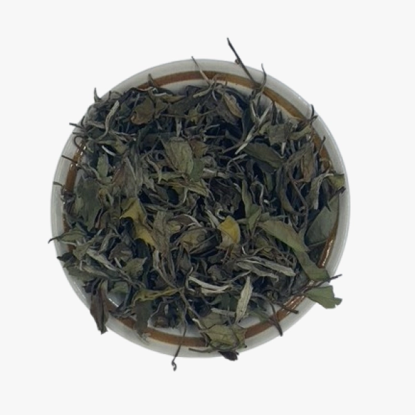 Bai Mu Dan Qing Xian White Peony