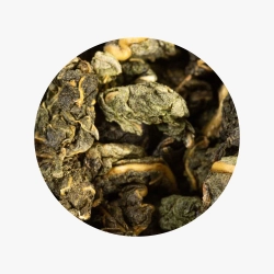 GABA Mulberry Leaf Sang Shu
