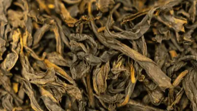 Oolong