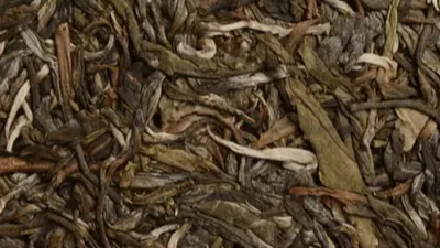 Shen Puer